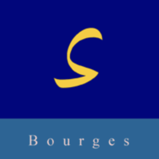 Journées cithare à Bourges (St-Doulchard) - 19-20-21 février 2027
